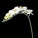 Tinksky Simulation Butterfly Orchid Artificial Flower Plant Home Decoration (White)