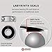 Fireball Dragon Skateboard Bearings Set (8 Pack) - 608 Longboard Bearings for Skateboard Inline & Roller Skate - Fast All Weather Bearings with Dual Labyrinth Shields - Guaranteed for Life (Endure)
