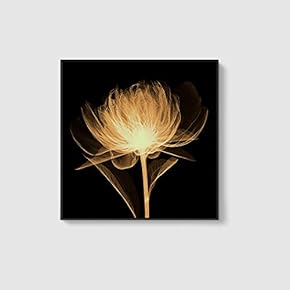 Framed Canvas Home Artwork Decoration Beautiful Flower Canvas Wall Art for Living Room, Bedroom - 16x16 inches