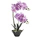 GTIDEA 19 inches Artificial Phaleanopsis Realistic PU Fake Orchid Bonsai Plant with Black Ceramic Pot Home Office Bedroom Table Centerpieces Decor Light Purple