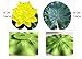 PIXHOTUL 10 Pcs Artificial Floating Pond Decoration Water Floating Lotus Flowers and Lotus Leaves for Pond Decor (7
