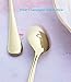 6 Piece Coffee Spoon 5-inch Stainless Steel Teaspoon Flatware Set Table Silverware Dishwasher Safe (Gold)