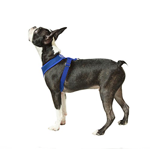 gooby choke free freedom harness