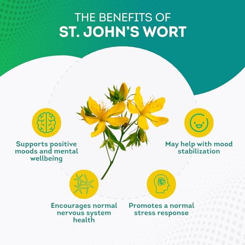 Pure Premium St. Johns Wort Capsules 500mg Mood Support Supplement