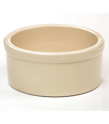 Pet Supplies : 9" Dog Bowl : Amazon.com