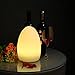 LED Mood Ball Light,WONFAST Rechargeable LED Bedside Table Lamp,Night Light with 16 Color Change and 4 Flash Modes,Suits for Outdoor Indoor Decoration (14x19cm-Egg)