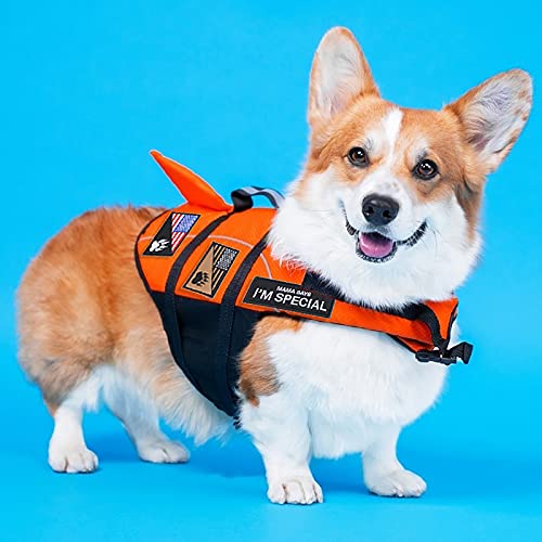 corgi tactical vest