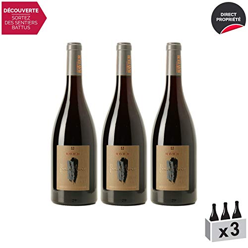 Vin de Savoie Pinot Noir La Bigarel Rouge 2017 - Philippe et Sylvain Ravier - Vin AOC Rouge de Savoie - Bugey - Cépage…