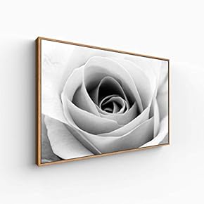 Canvas Wall Art for Living Room, Bedroom Monochrome Plants Framed Canvas Prints for Home Decoration Ready to Hang - 16x24 inches