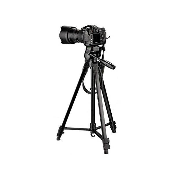 XYSQWZ Spiegelreflexkamera Stativ Fotograf Outdoor Adventure Kameraständer Stabilisator - Studentin Tragbares… – Bild 5