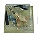 Mirage 2000C diecast 1:100 model (Amercom SL-8)