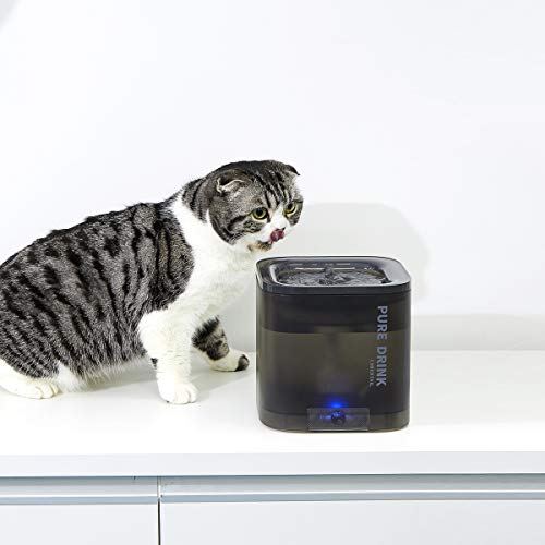 small pet drinking fountain