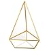 HOMEIDEAS Glod Geometric Terrarium Modern Clear Glass Pyramid Tabletop Box Succulent Plants Holder