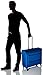 Delsey Luggage Chatillon Trolley Garment Bag, Blue