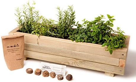 Kit de cultivo en jardinera minimalista para infusiones y cócteles ...