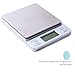 Dapai Mini Digital Kitchen Scale, Multifunction Food Scale, 0.1g-3kg, Tare & PCS Functions, Back-Lit LCD Display, Stainless Steel, Batteries Included (Silver)