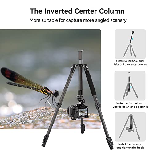 SmallRig 62.2" Carbon Fiber Tripod with Center Column, Travel