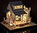 Rylai 3D Puzzles Miniature Dollhouse DIY Kit Light Caribbean Sea Series Dolls Houses Accessories with Furniture LED Music Box