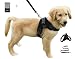 Heavy Duty Adjustable Pet Puppy Dog Safety Harness with Leash Lead Set Reflective No-Pull Breathable Padded Dog Leash Collar Chest Harness Vest with Handle for Small Medium Large Dogs Training Walking