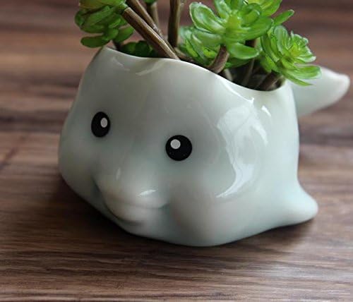 Ceramic Flower Pots Animal Shaped Succulent Flower Pot with a drain Hole Flower Container for Succulent Porcelain Planter Garden Decor (Dolphin)