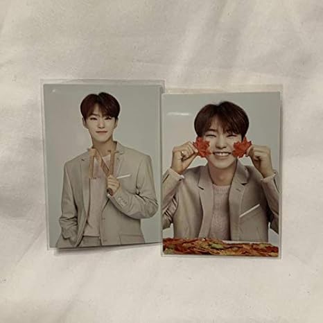 Amazon Seventeen セブチ トレカ ホシ アニメ 萌えグッズ 通販