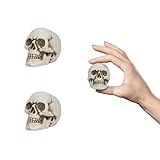 READAEER Resin Skull 2 pcs/Set, Mini Skull Model