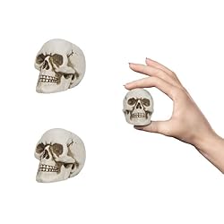 READAEER Resin Skull 2 pcs/Set, Mini Skull Model