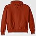 Champion Men's Men' Reverse Weave Fleece Pullover Hood