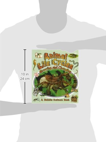 Animal Life Cycles: Growing and Changing (Nature's Changes)