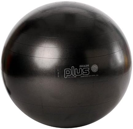 Sport-Tec - Pelota de gimnasia (65 cm), color negro: Amazon.es: Jardín