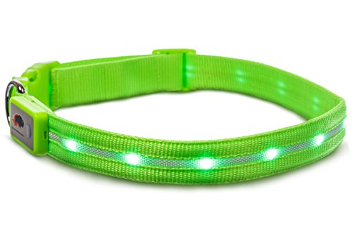 Blazin' Safety LED Dog Collar - USB Rechargeable with Water Resistant Flashing Light, Medium, Green