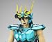 Saint Cloth Myth EX Dragon Shiryu (Shinsei Bronze Cloth) (japan import)