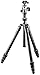 Gitzo GK2545T-82QD Series 2 Traveler Kit with GT2545T 4 Section Tripod & Head (Black)