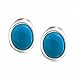 Bling Jewelry Oval Inlay Color Clip On Earrings