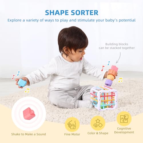 OOOK MONTESSORI TOYS FOR 1 YEAR OLD, 5 IN 1 LEARNING EDUCATIONAL WOODEN TOYS SET (INCLUDES PUSH BALLS SET, SHAPE SORTER, MIRROR PUZZLE, CLOTH TOY BOX AND MORE)