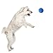 Nerf Dog 2.5in Soccer Squeak Ball: Blue, Dog Toy
