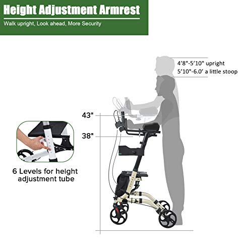BEYOUR WALKER Lightweight Upright Rollator Walker 8" Front Wheels with