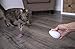 Petlinks Cheese Chaser Electronic Motion Remote Controlled Cat Toy, Battery Powered - Gray/White, One Size