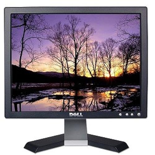 17 LCD MONITER 