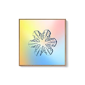 Framed Canvas Wall Art for Living Room, Bedroom Snowflake Theme Canvas Prints for Home Decoration Ready to Hang - 16x16 inches