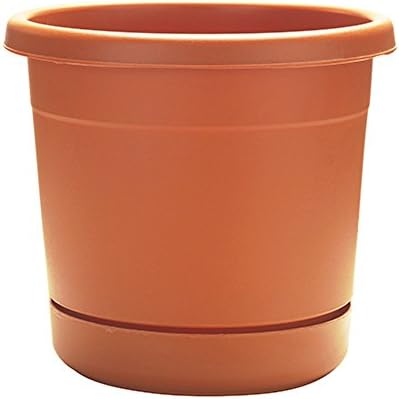 PLANTER/SAUCER RLD RIM TC 6IN