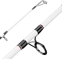 Berkley big game spinning fishing rod Clearance