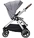 Maxi-Cosi Adorra 2.0 5-in-1 Modular Travel System with Mico Max 30 Infant Car Seat, Nomad Grey