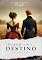 Livro Brigando com o Destino: Trilogia DESTINO - Livro III