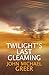 Twilight's Last Gleaming (The Karnac Library)