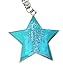 Feng Shui 2017 feng shui Heavenly Star Keychain