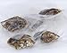 Precious Pearl As Seen On TV Pearl In Oyster Pearl Necklace Metal 1 pk