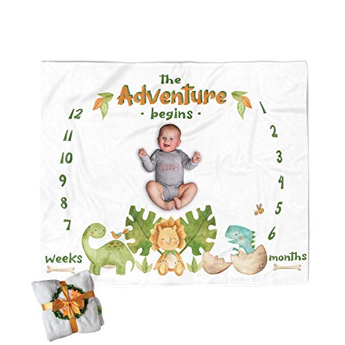 dinosaur milestone blanket