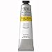 Winsor & Newton 2136644, Titanium White Galeria Acrylic Color Tube, 200ml, 200-ml primary