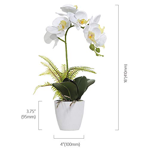 Omygarden Artificial Orchid Flowers with White Pot, Phalaenopsis, Fake